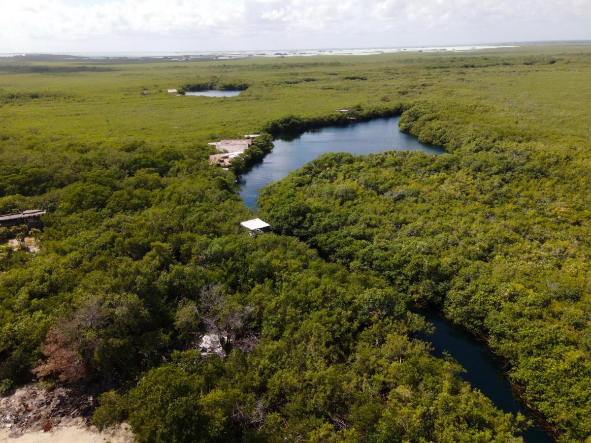 Manglex Eco Hotel Tulum Exteriör bild