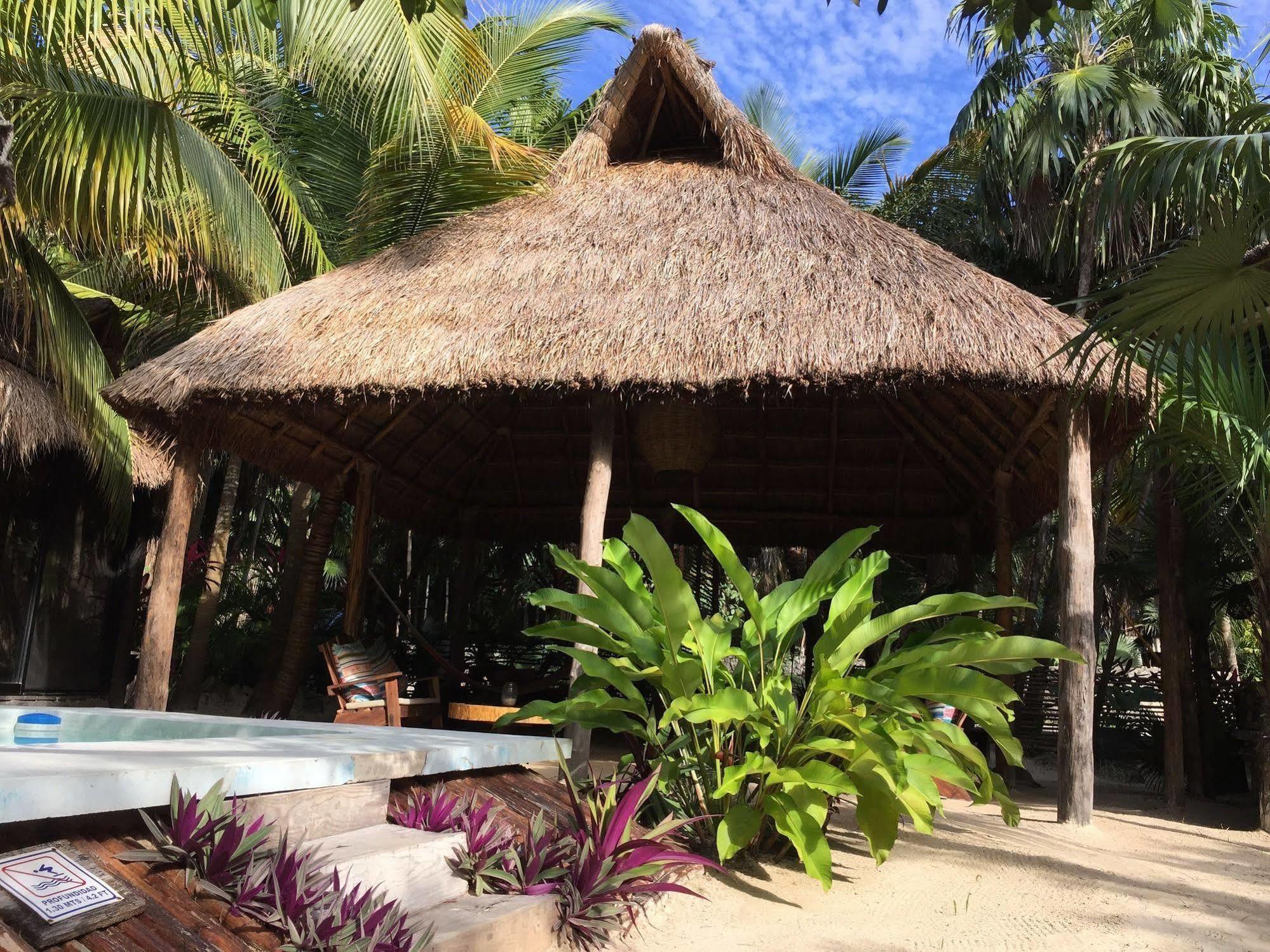 Manglex Eco Hotel Tulum Exteriör bild