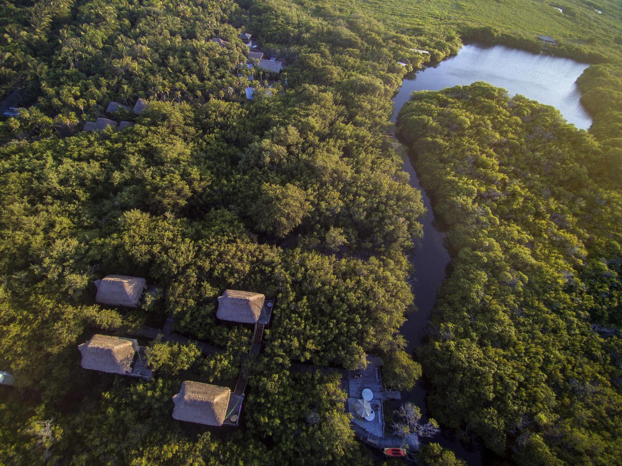 Manglex Eco Hotel Tulum Exteriör bild