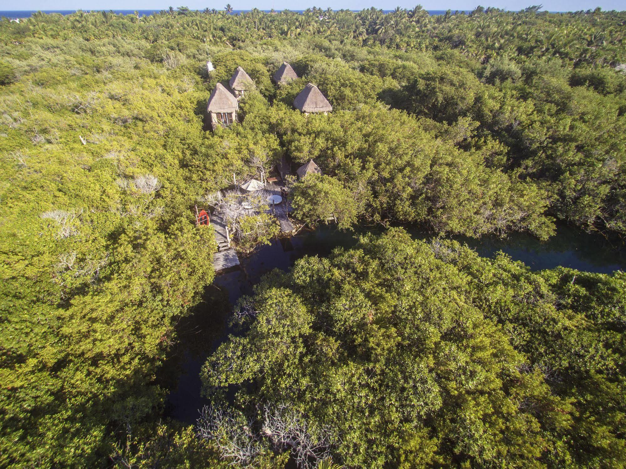Manglex Eco Hotel Tulum Exteriör bild