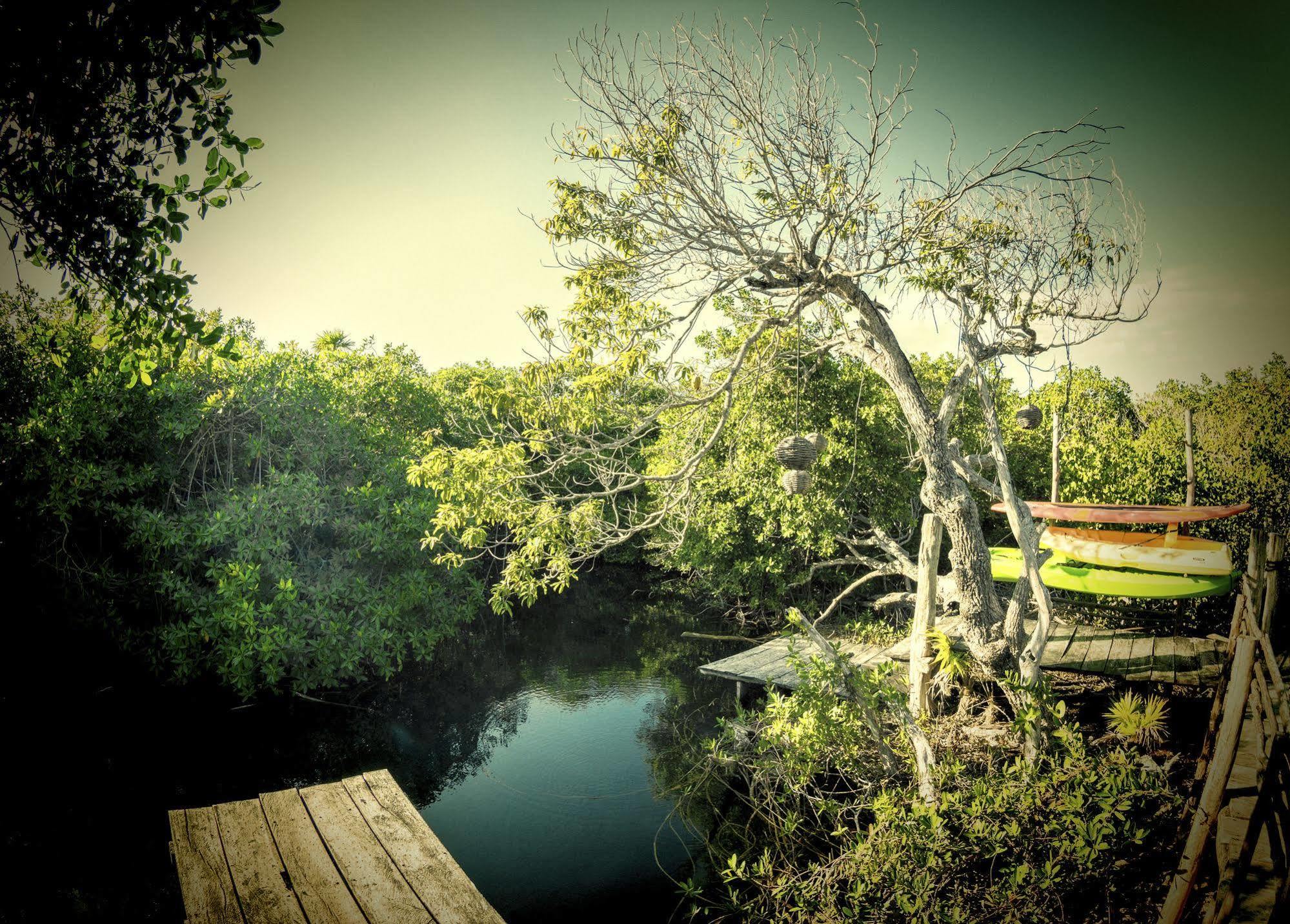 Manglex Eco Hotel Tulum Exteriör bild