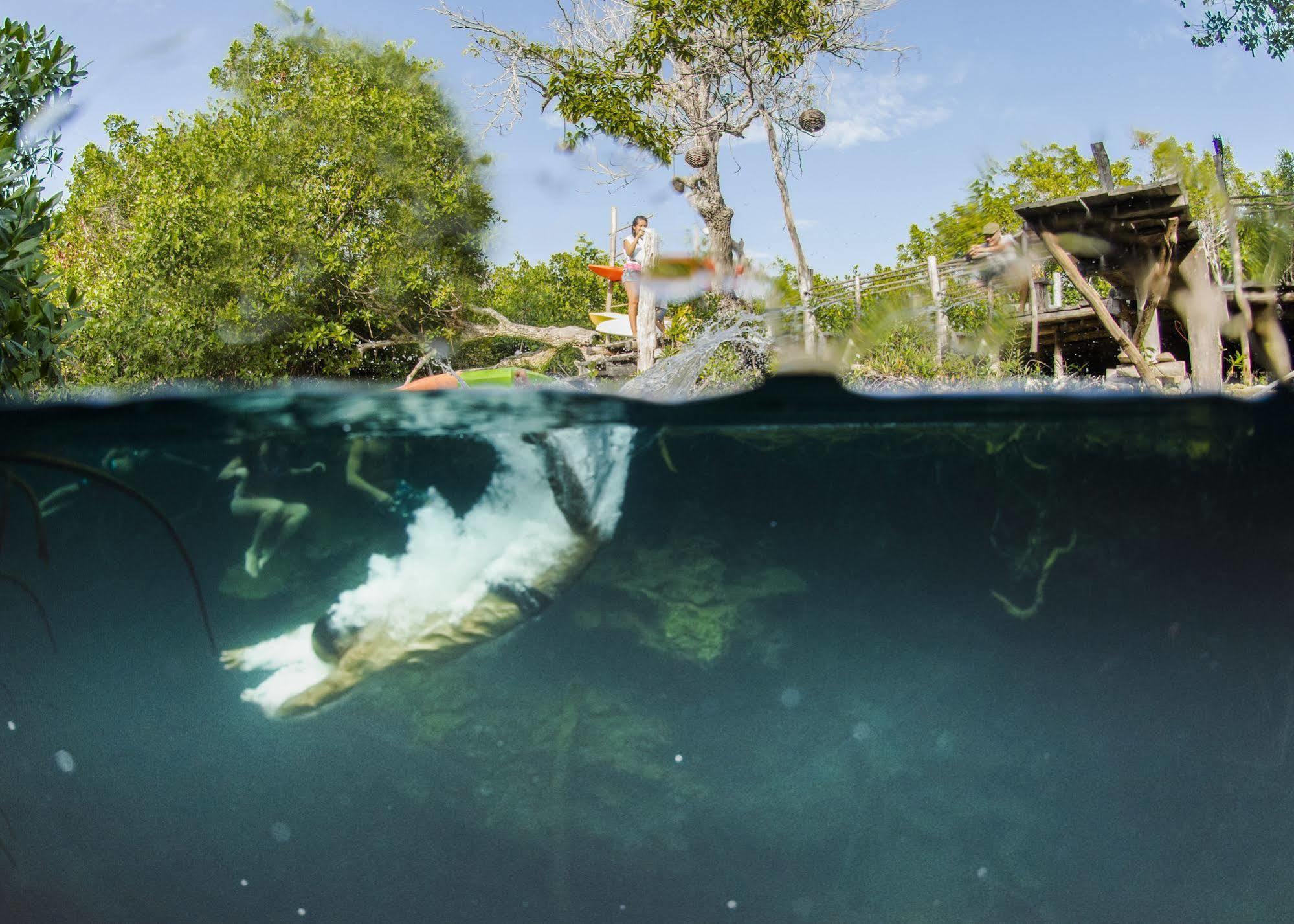 Manglex Eco Hotel Tulum Exteriör bild