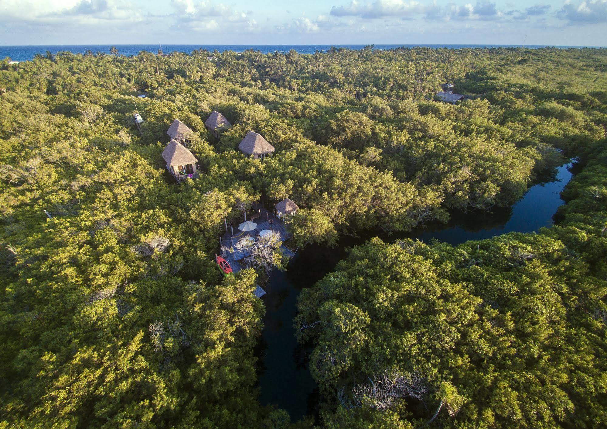 Manglex Eco Hotel Tulum Exteriör bild