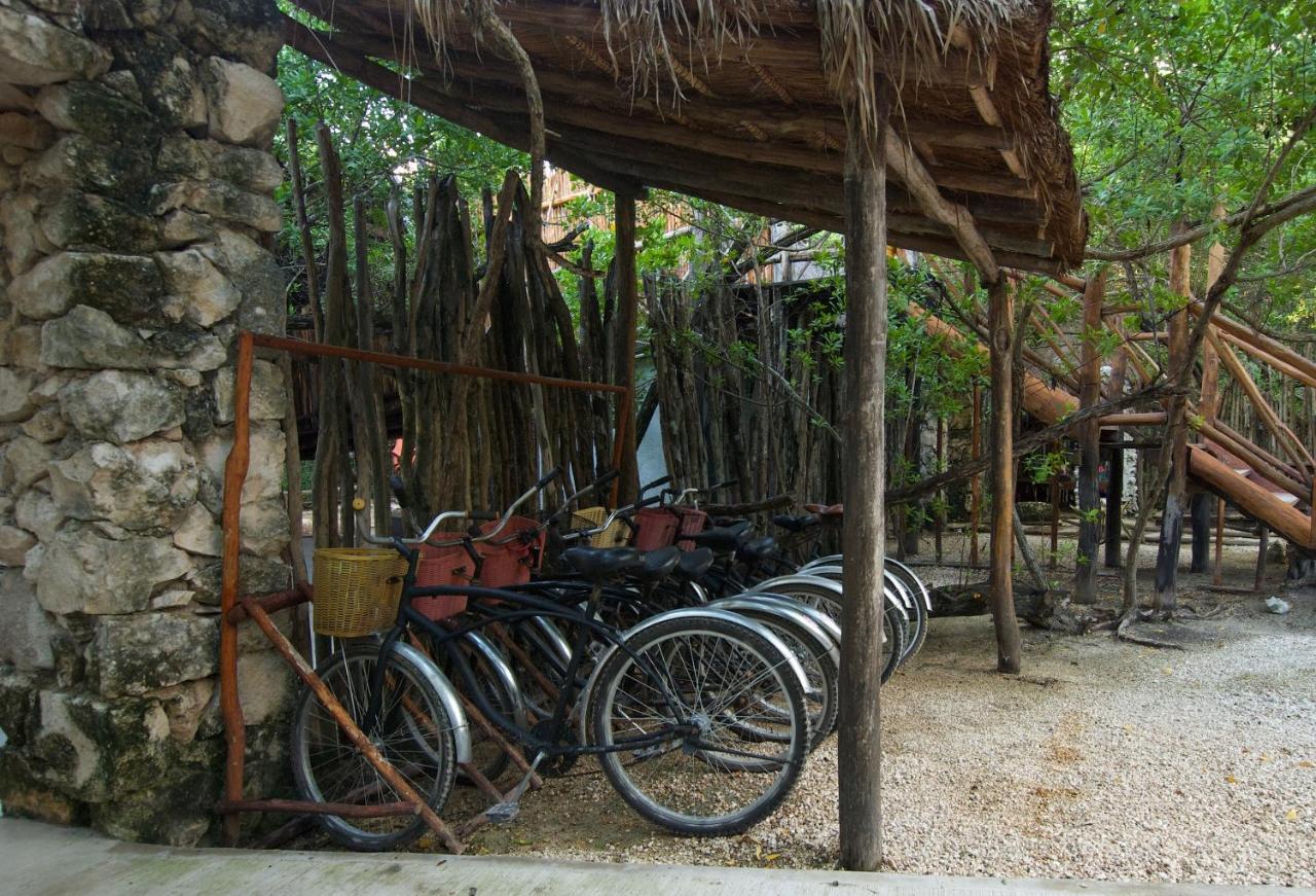 Manglex Eco Hotel Tulum Exteriör bild